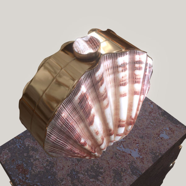 CLAM SHELL CLUTCH